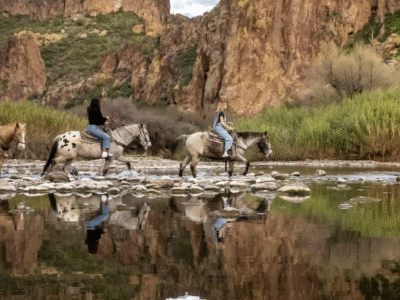 Saguaro Lake Ranch